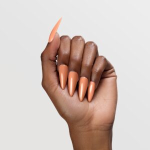 Broke But Boujee - LG5196